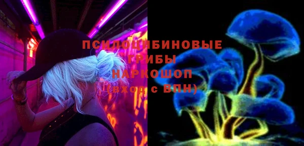 стаф Алзамай