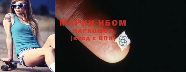 стаф Алзамай