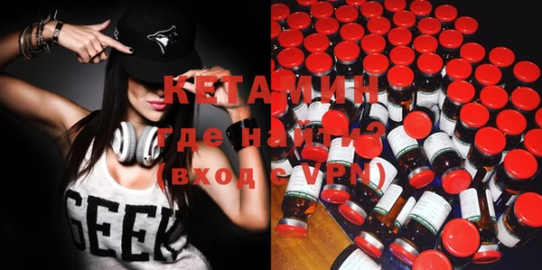 стаф Алзамай