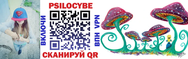 Псилоцибиновые грибы мицелий  Евпатория 