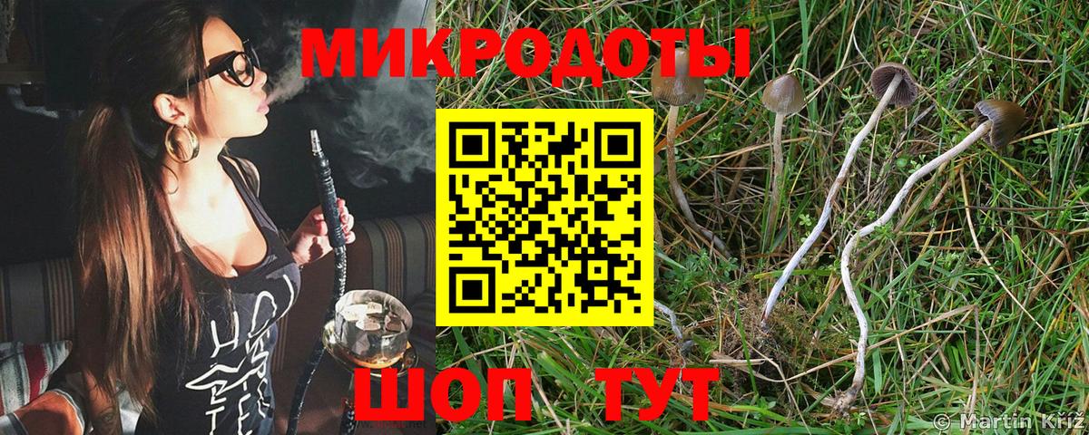 Галлюциногенные грибы мухоморы Евпатория