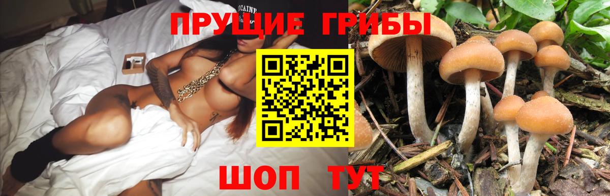 Псилоцибиновые грибы Magic Shrooms  Вход с VPN  Евпатория 